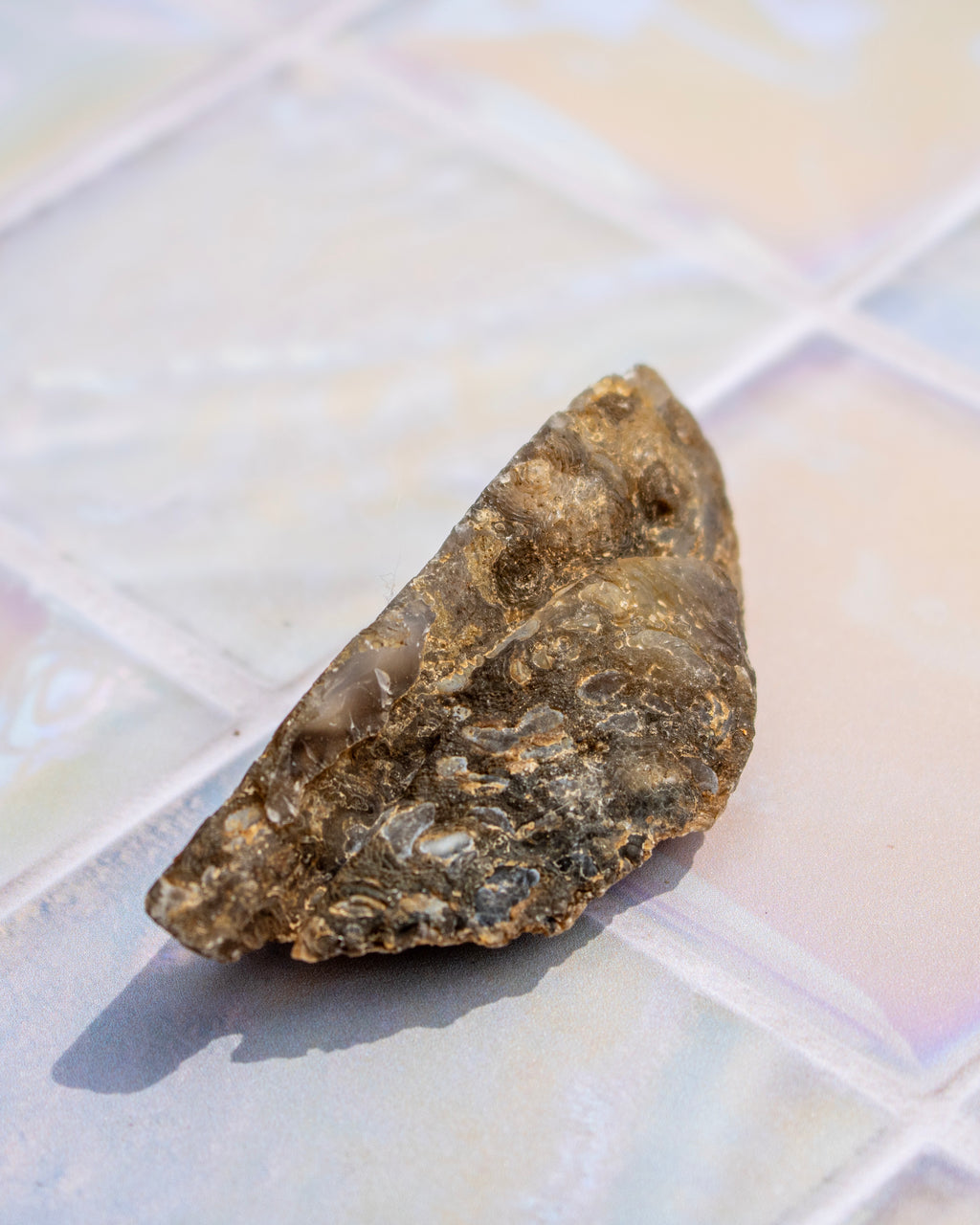 A rough, natural brown and gray stone or mineral chunk with a textured, crystalline surface, resting on a glossy, iridescent tile surface.