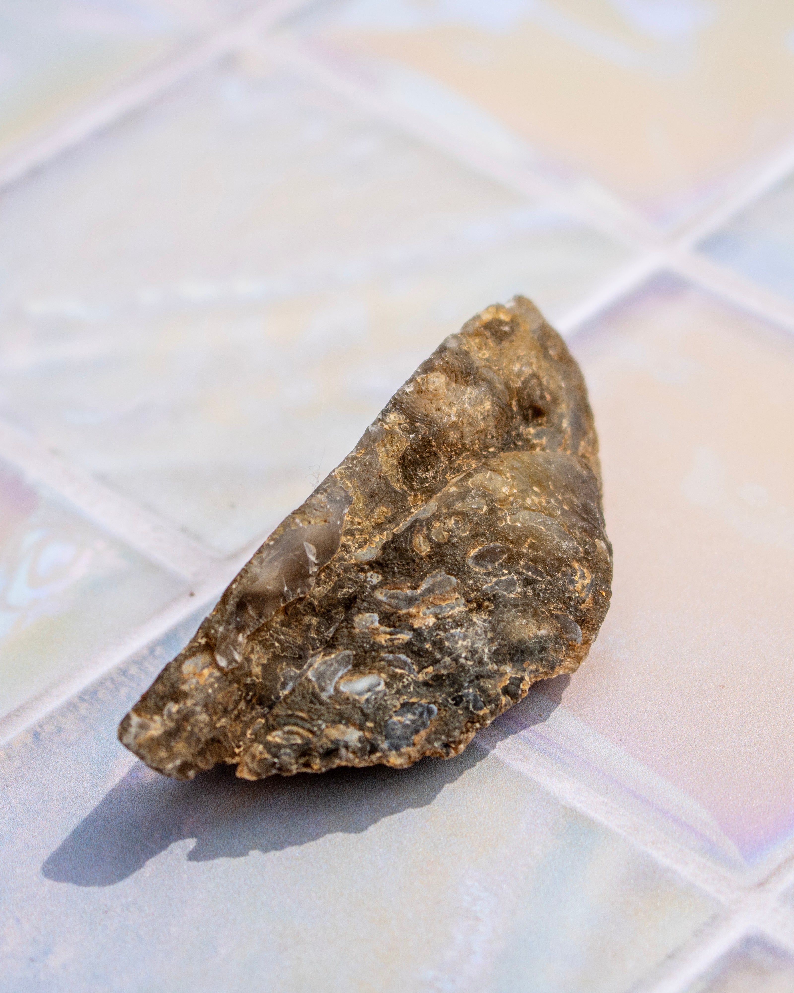 A rough, natural brown and gray stone or mineral chunk with a textured, crystalline surface, resting on a glossy, iridescent tile surface.