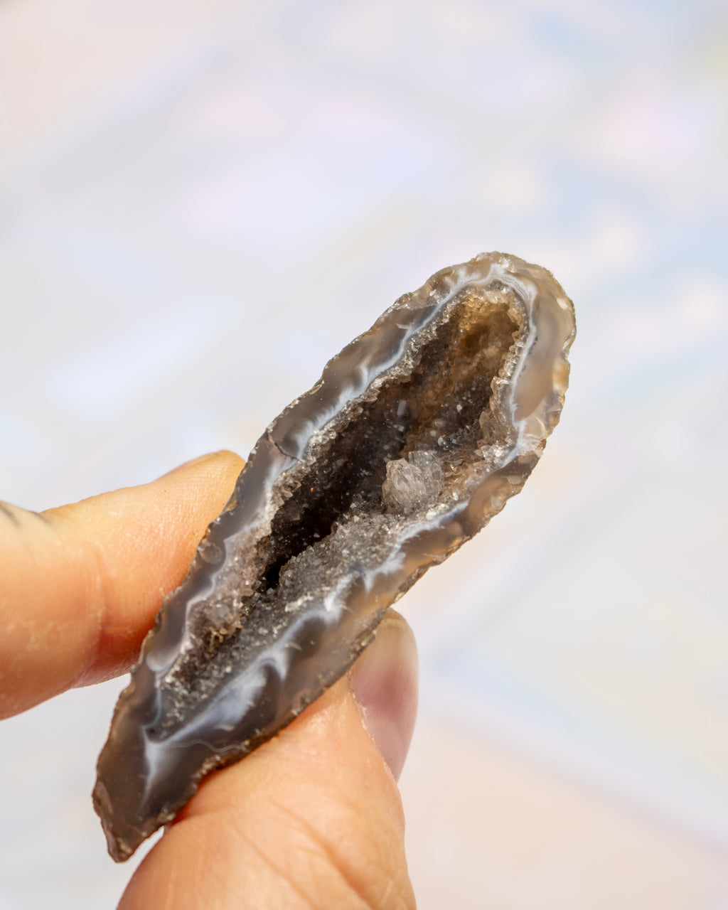 A hand holding a polished natural agate geode slice with a dark brown interior and gray outer rinds, set against a soft, out-of-focus light background.