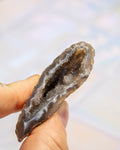A hand holding a polished natural agate geode slice with a dark brown interior and gray outer rinds, set against a soft, out-of-focus light background.