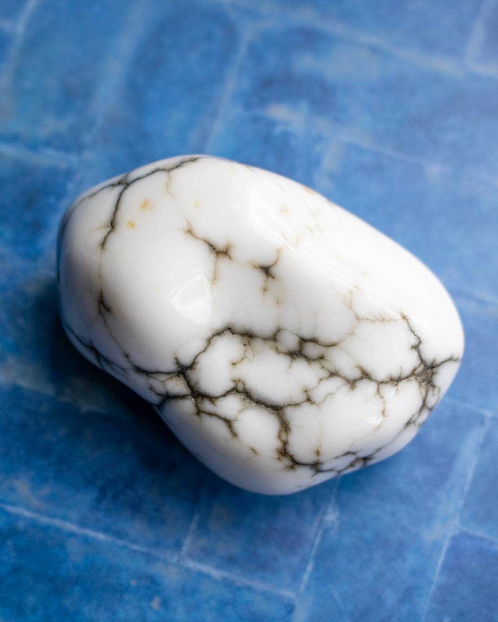 A polished white stone with prominent dark brown to black veining, resting on a textured blue surface.