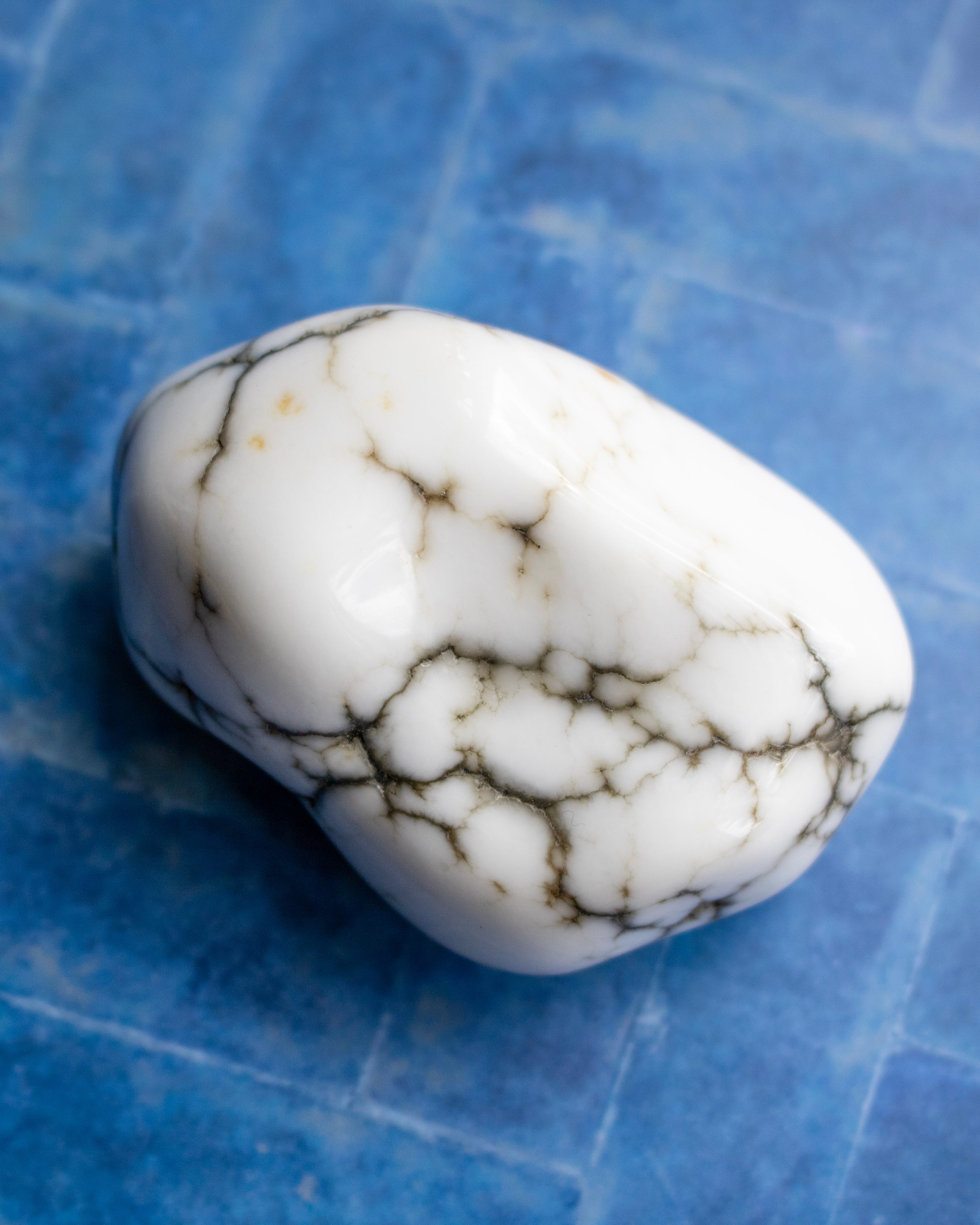 A polished white stone with prominent dark brown to black veining, resting on a textured blue surface.