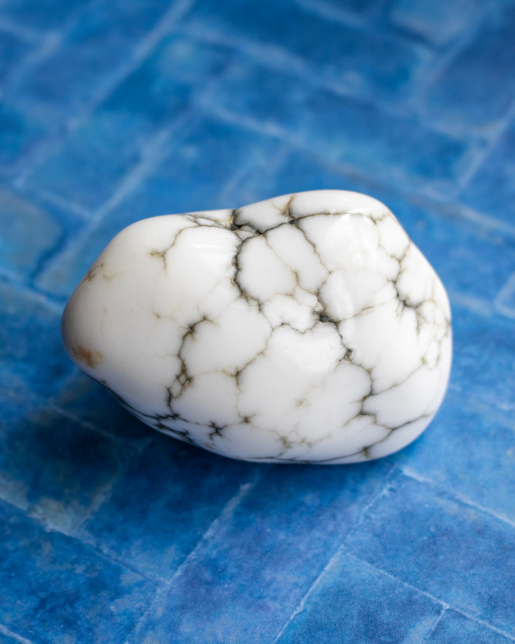 A polished white stone with a natural gray and brown veining pattern, resting on a blue tiled surface.