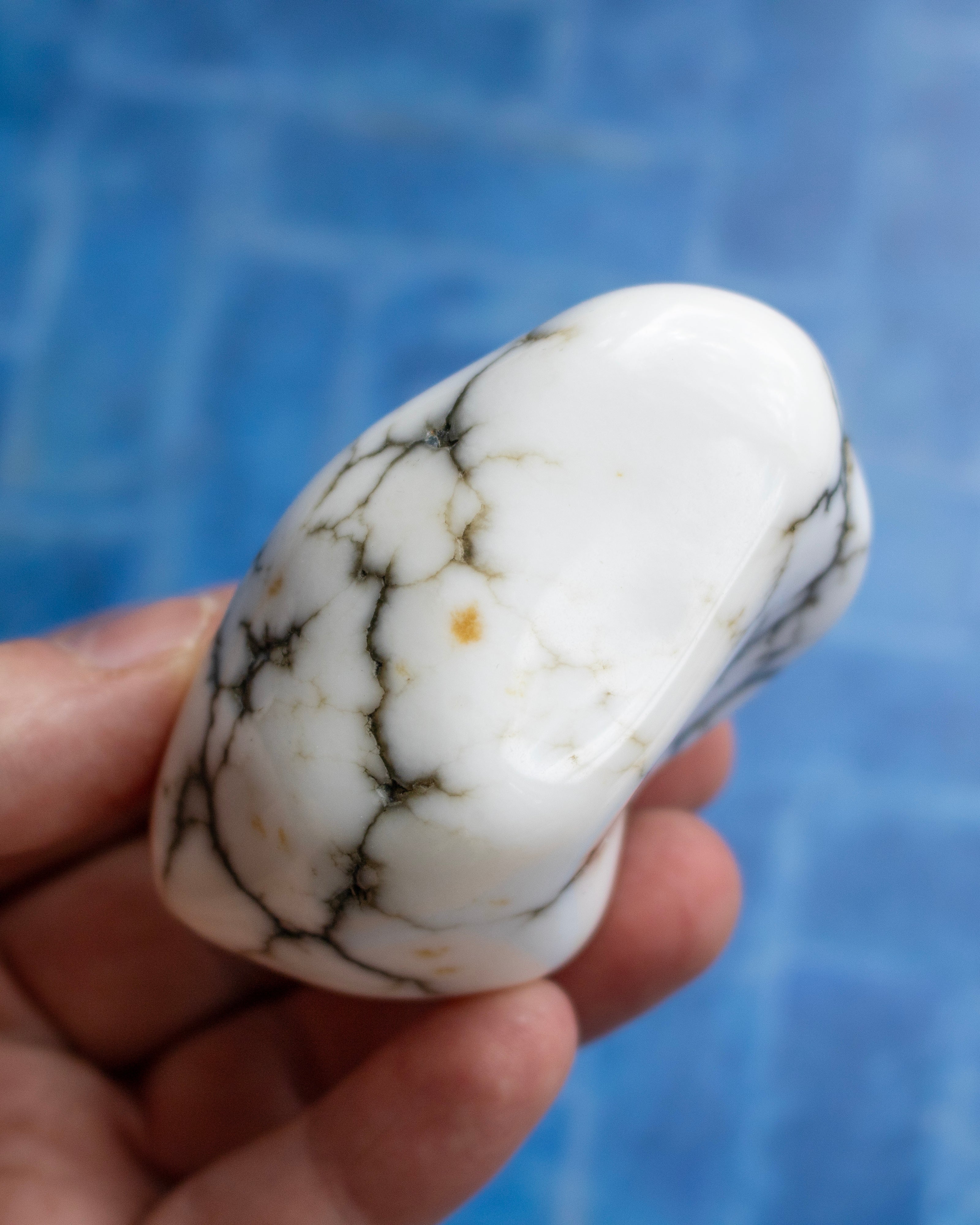 A hand holding a polished white stone with prominent black and brown veining, set against a blue tiled background.