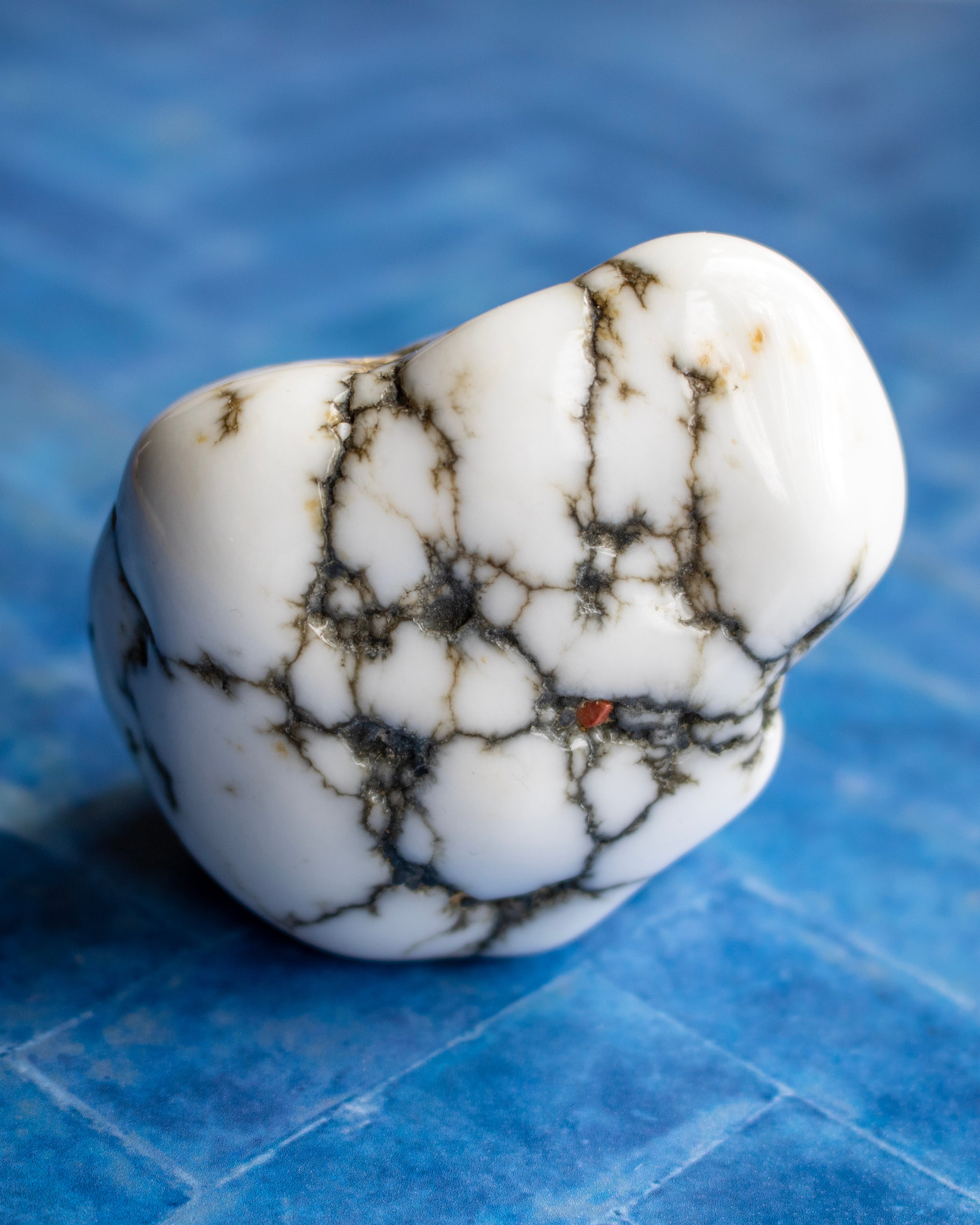 A polished white stone with prominent dark brown and black veining, resting on a textured blue surface.