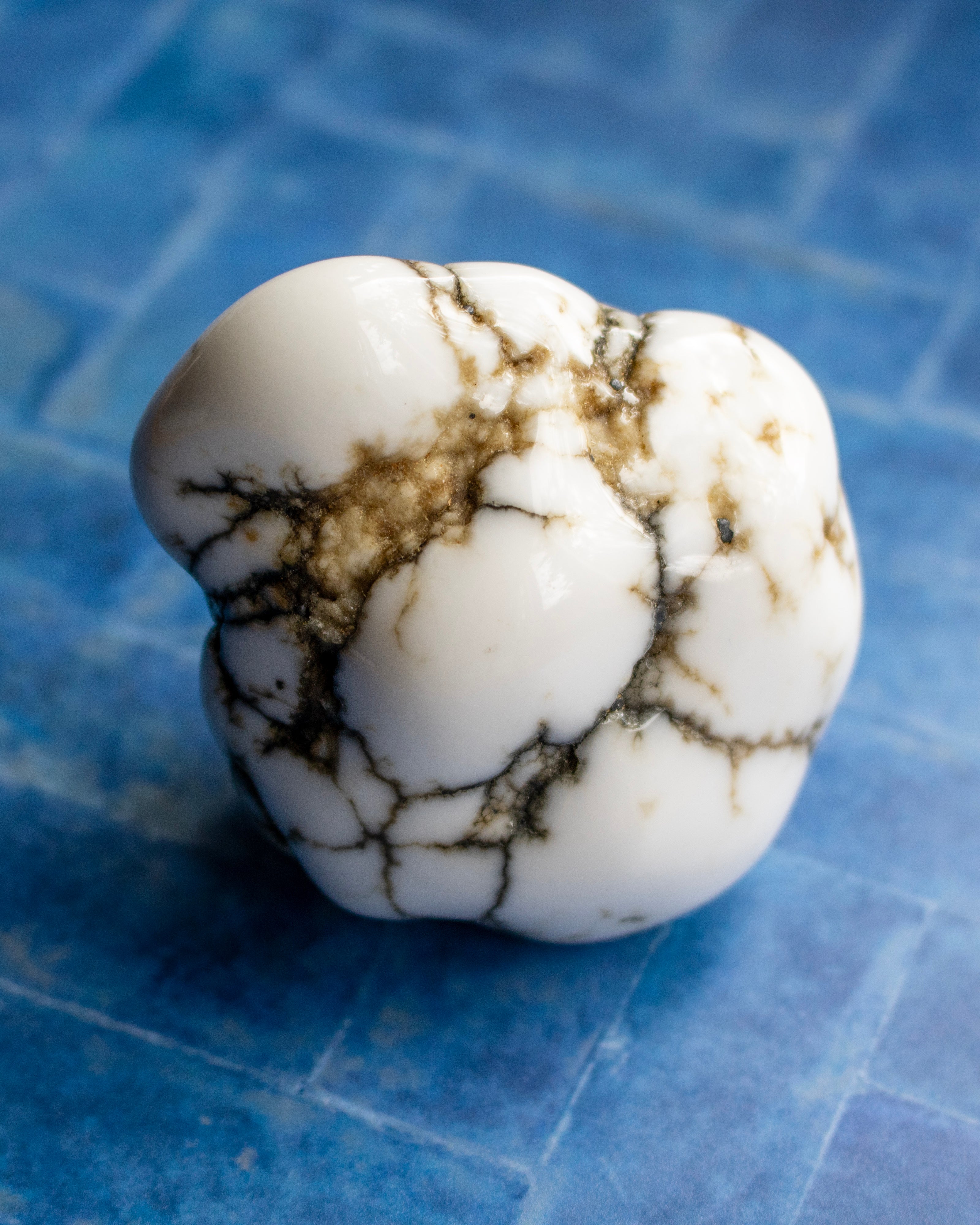 A polished white stone cabochon with prominent dark brown and black matrix veining, resting on a blue tiled surface.