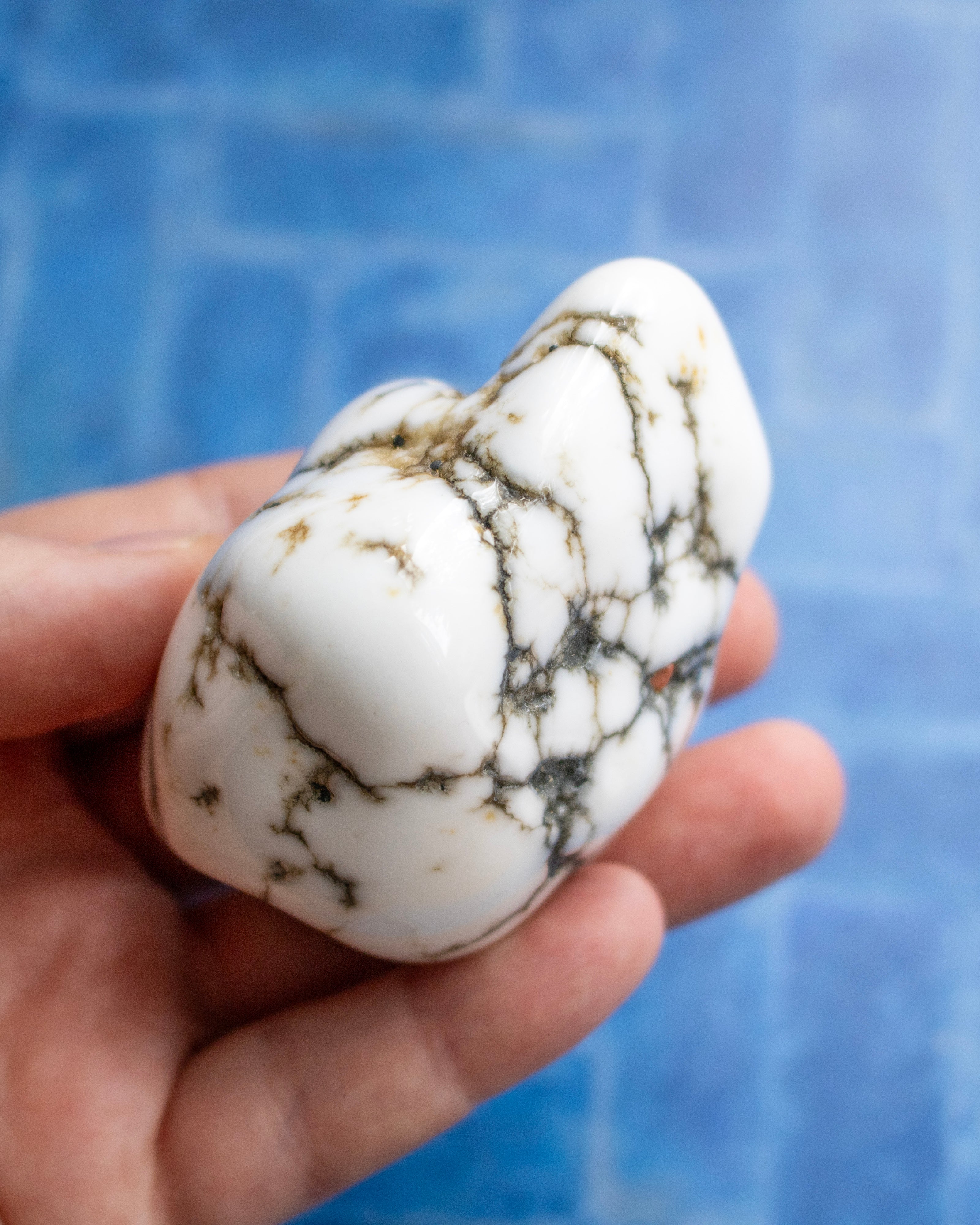 A hand holding a polished white stone with dark brown and black veining, set against a blue tiled background.