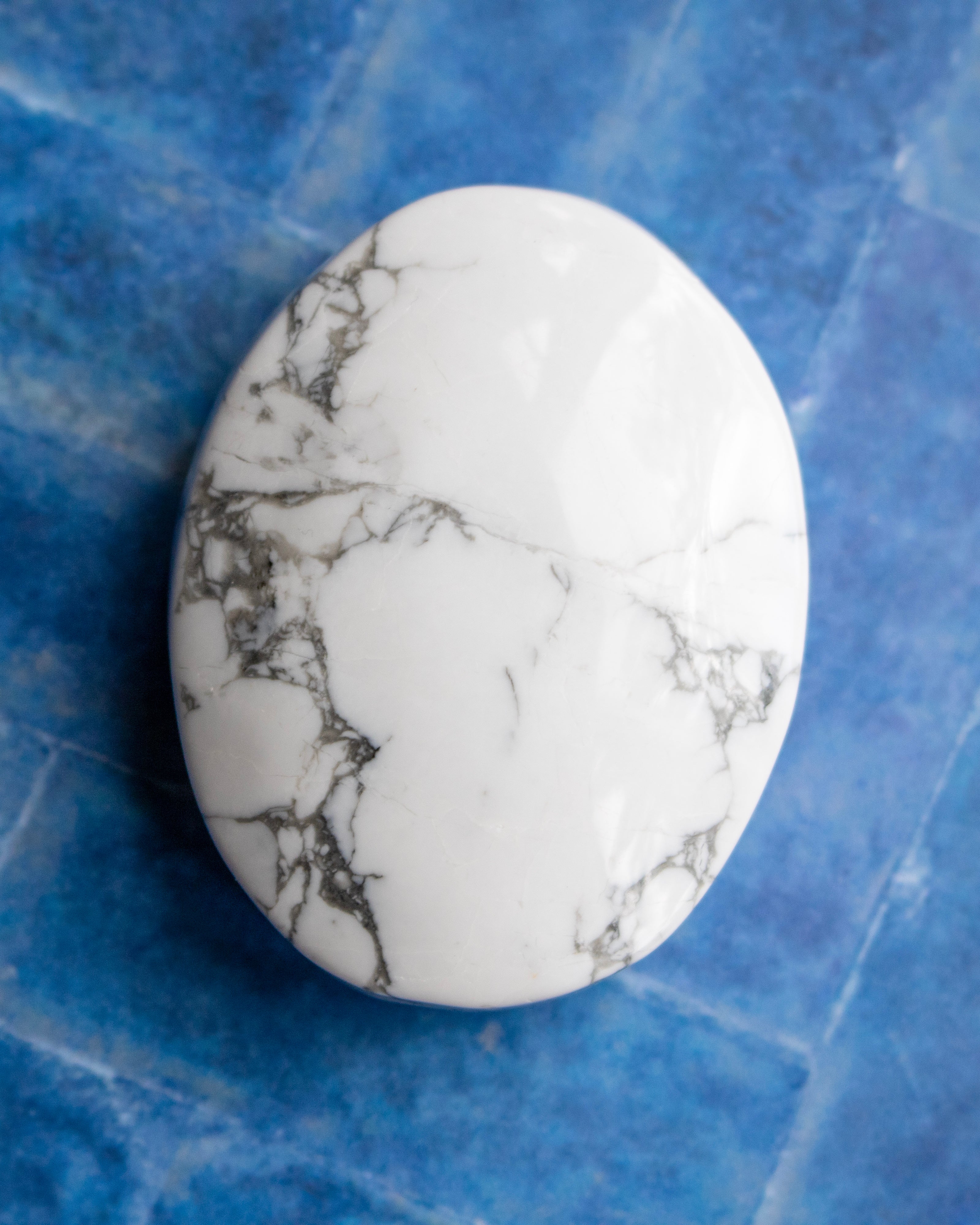 A polished white stone with gray and black marble veining, photographed from above on a textured blue surface.