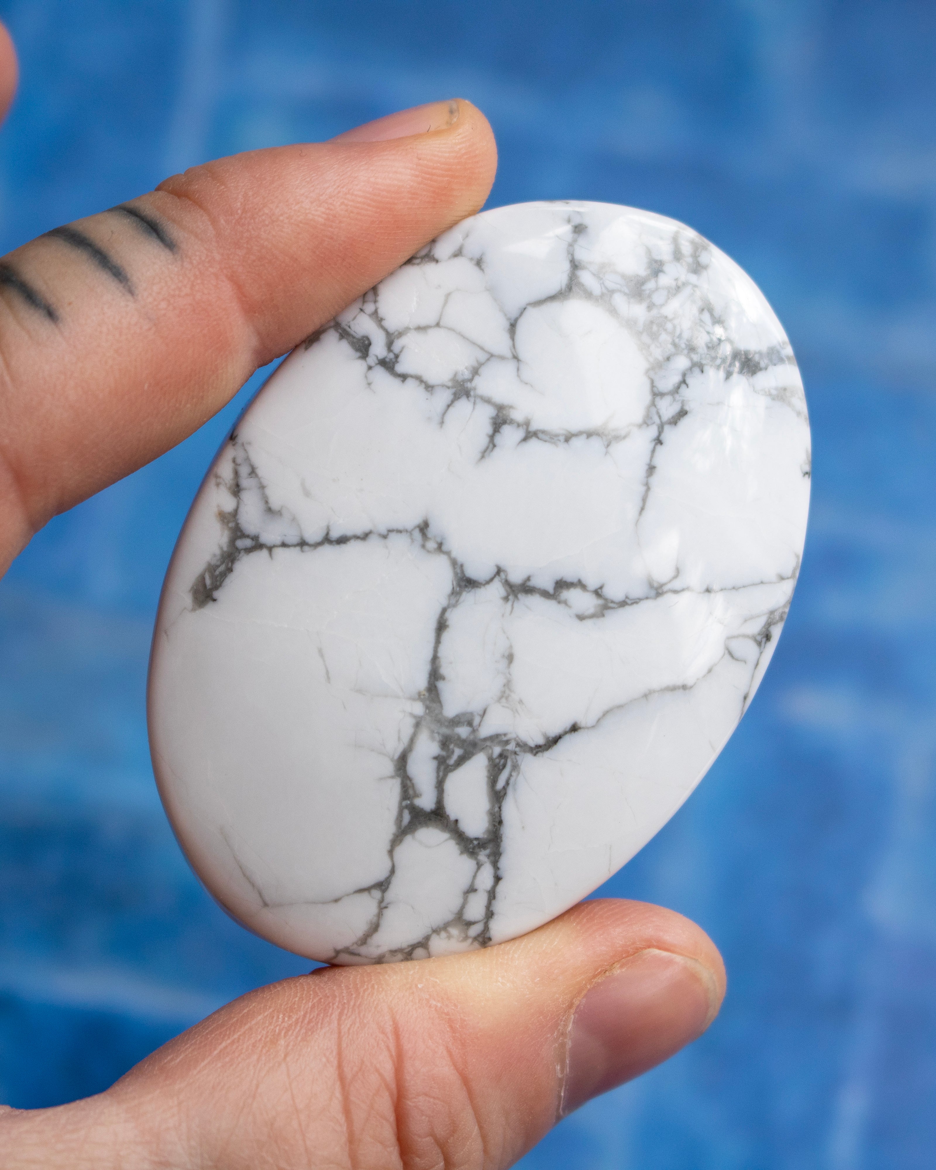 A hand holding a polished white stone with gray veining, photographed close-up against a blue textured background.
