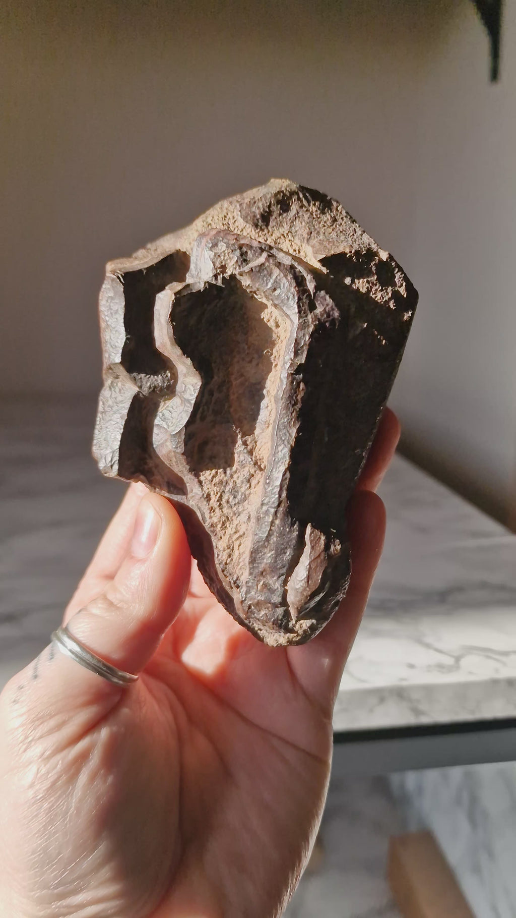 Ironstone Regolith Concretion (Ancient Fossil Mud)