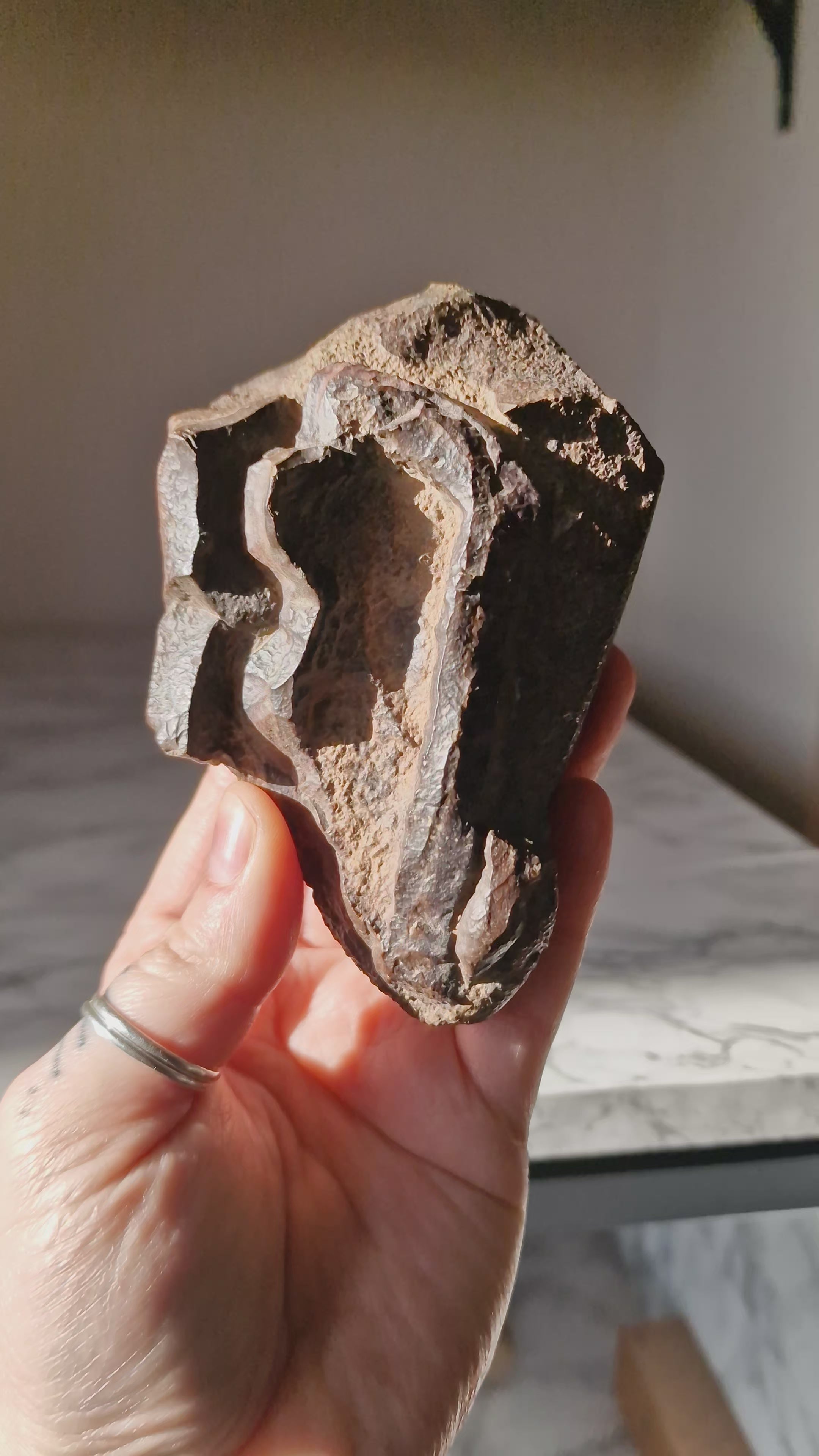 Ironstone Regolith Concretion (Ancient Fossil Mud)