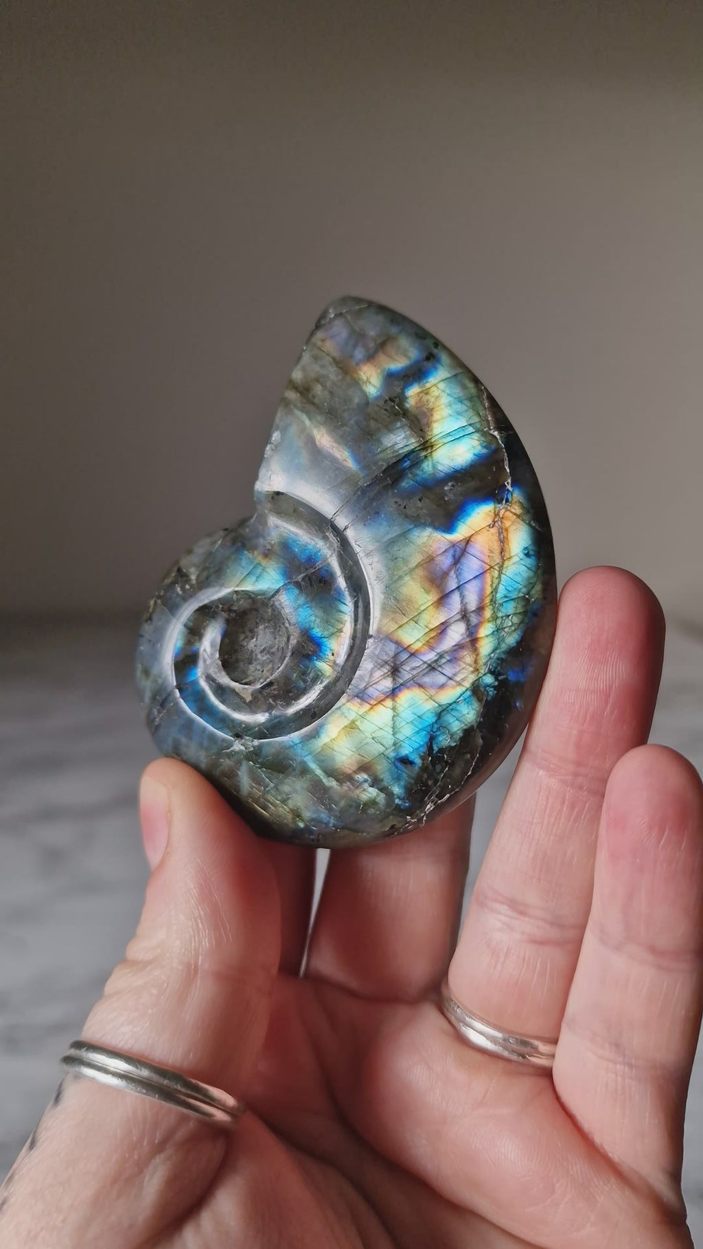 Blue Labradorite Shell Carving