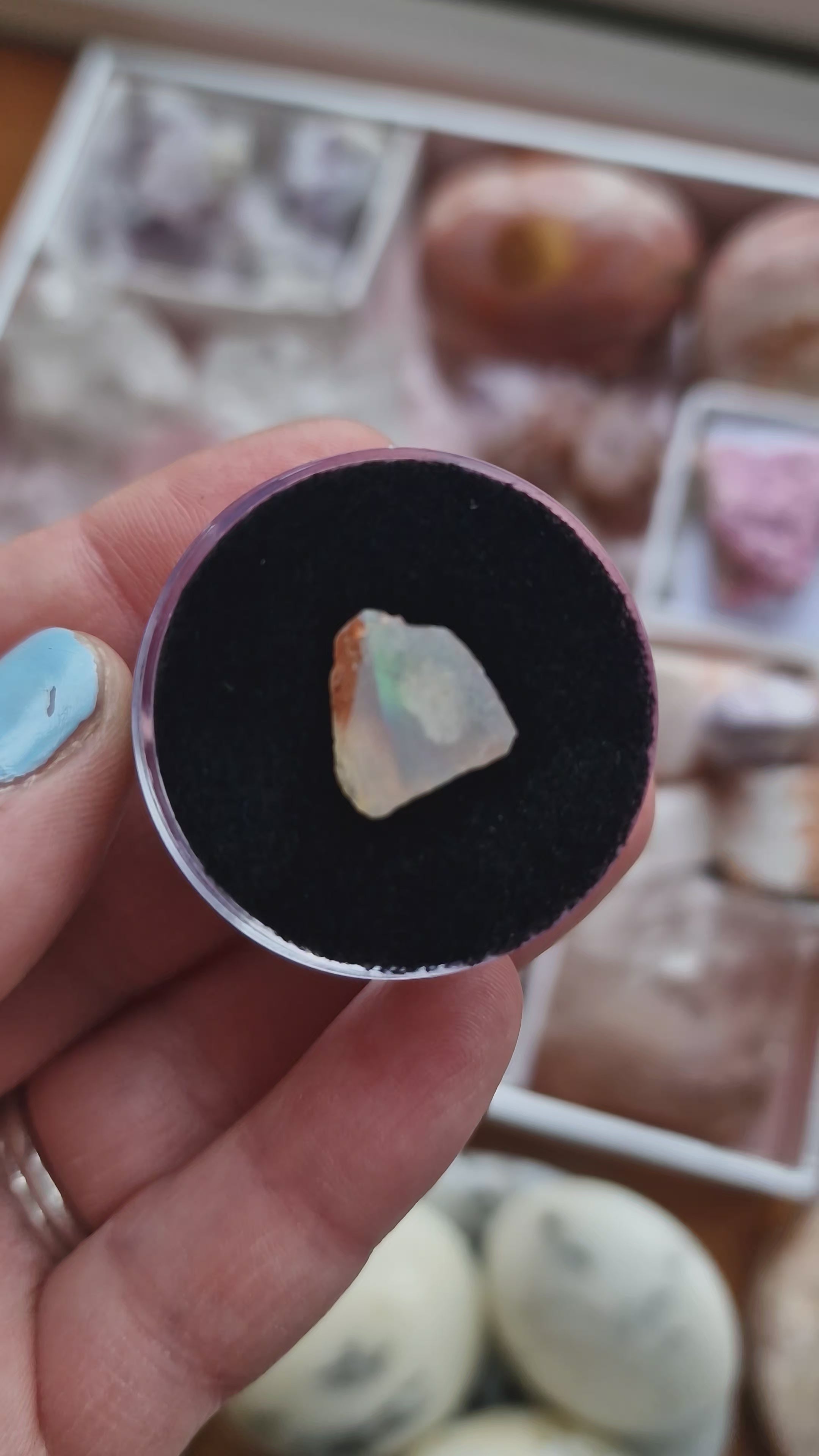 White Mexican Opal in Display Case