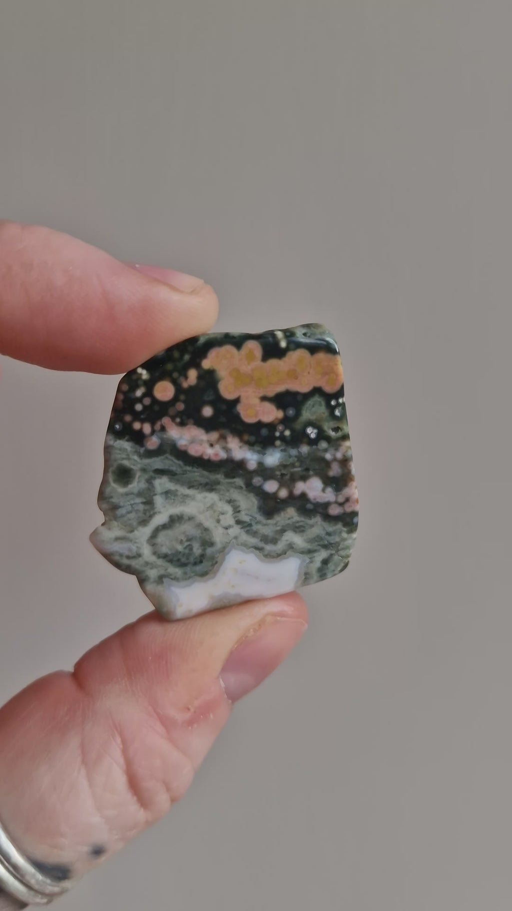 Orbicular Jasper Slice