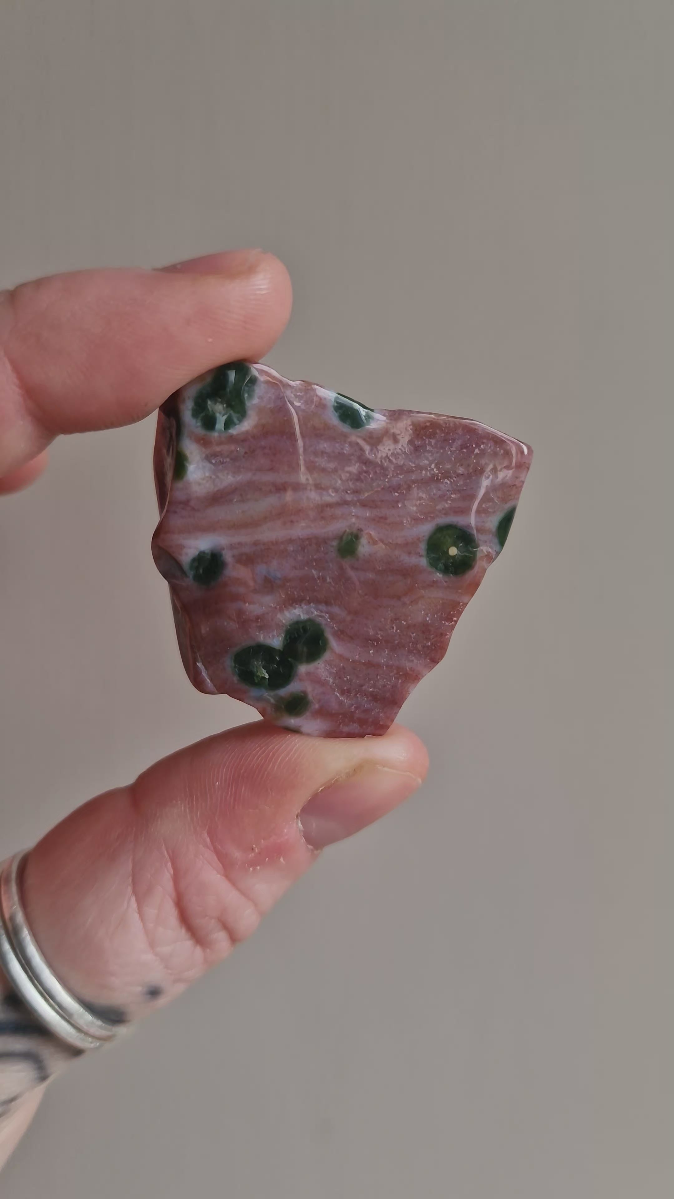 Orbicular Jasper Slice