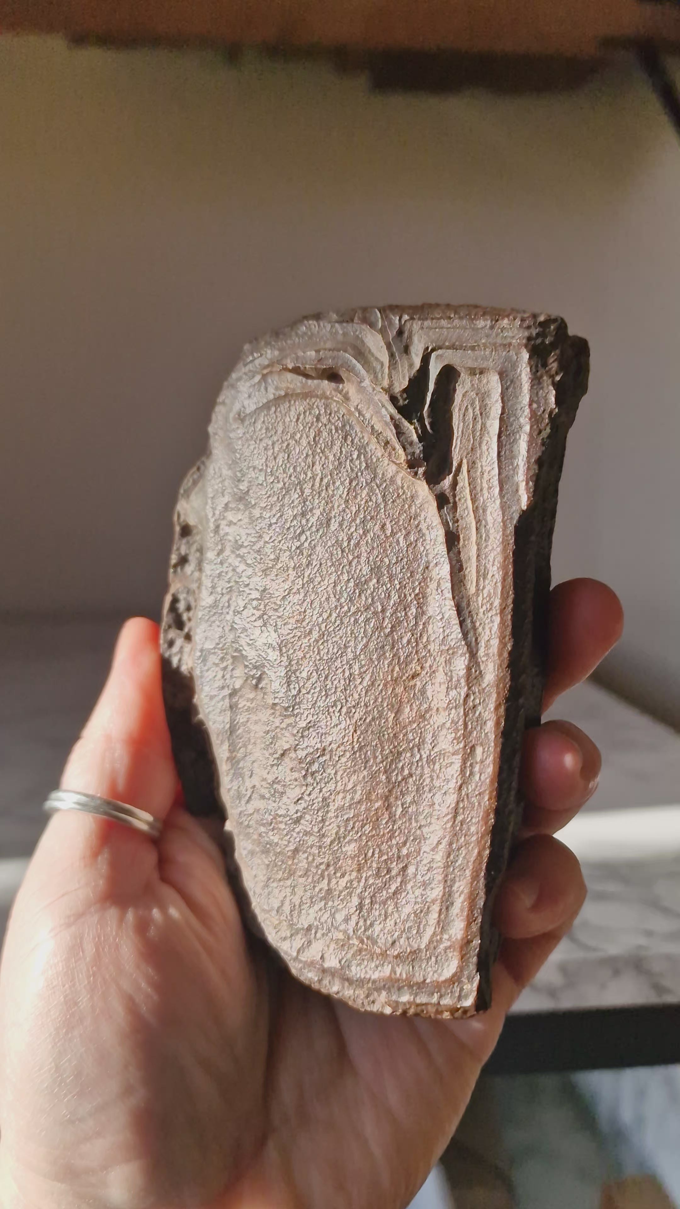 Ironstone Regolith Concretion (Ancient Fossil Mud)