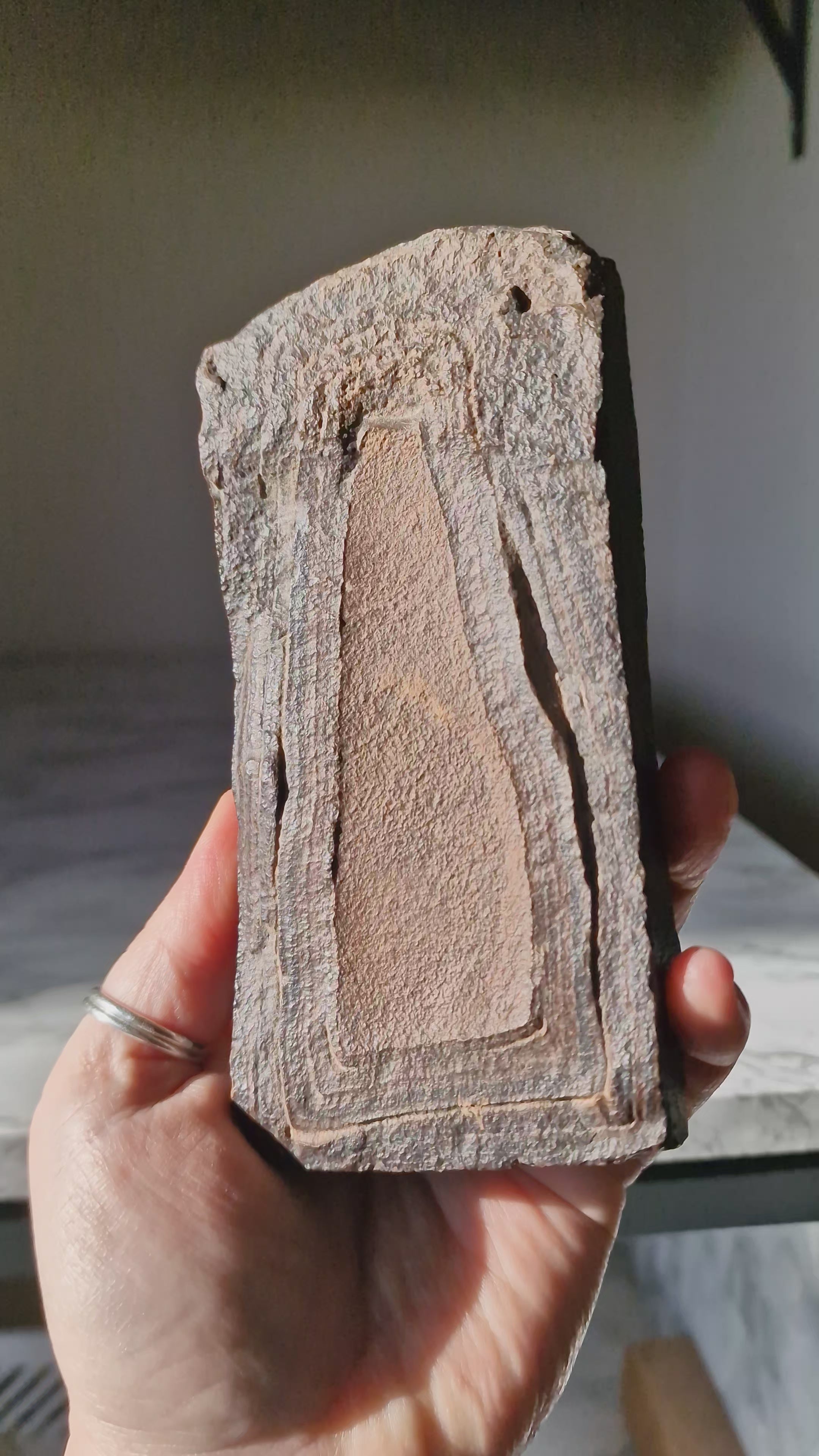 Ironstone Regolith Concretion (Ancient Fossil Mud)