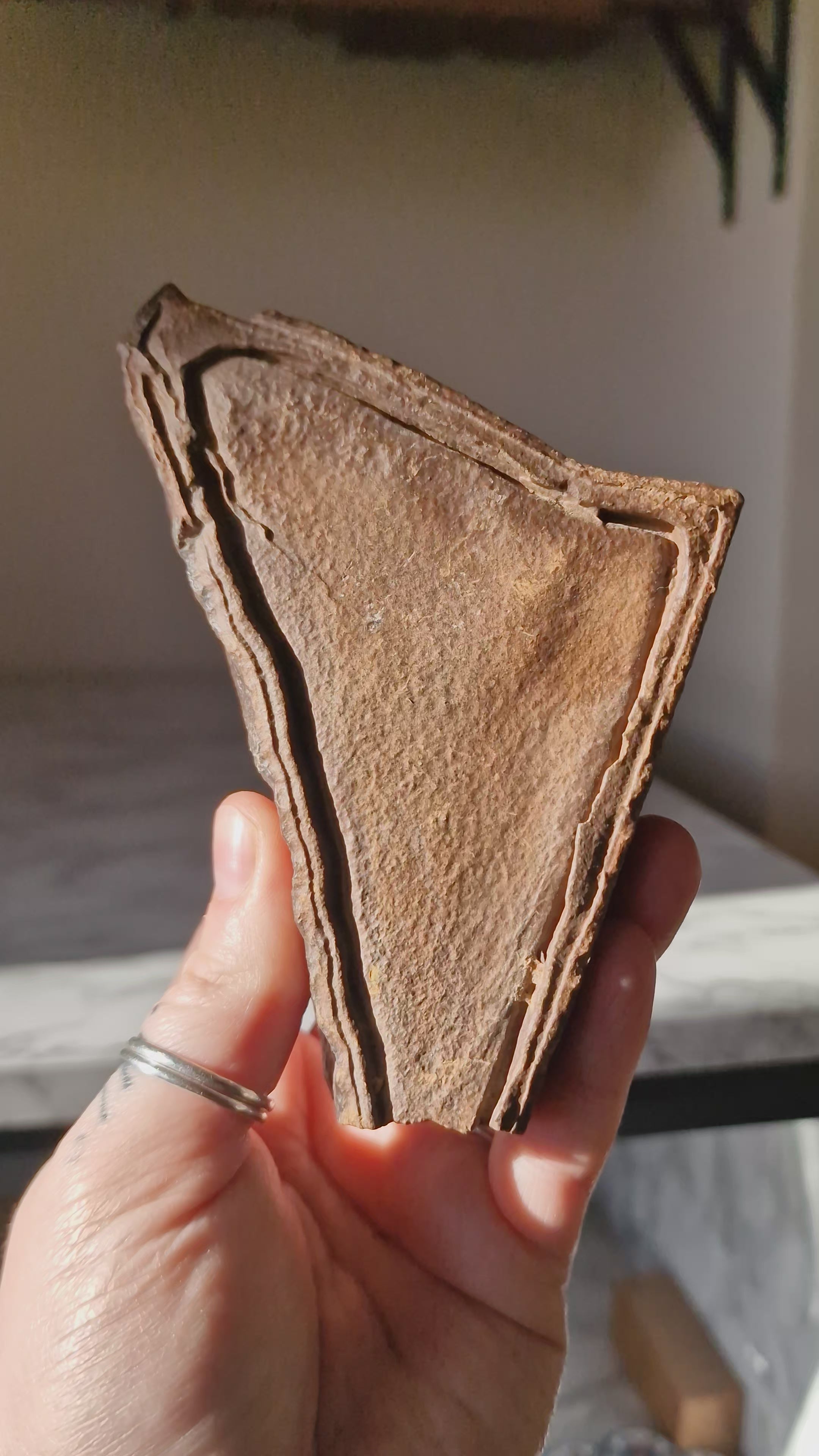 Ironstone Regolith Concretion (Ancient Fossil Mud)