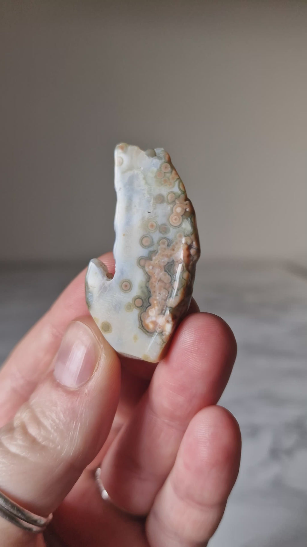 Orbicular Jasper Slice