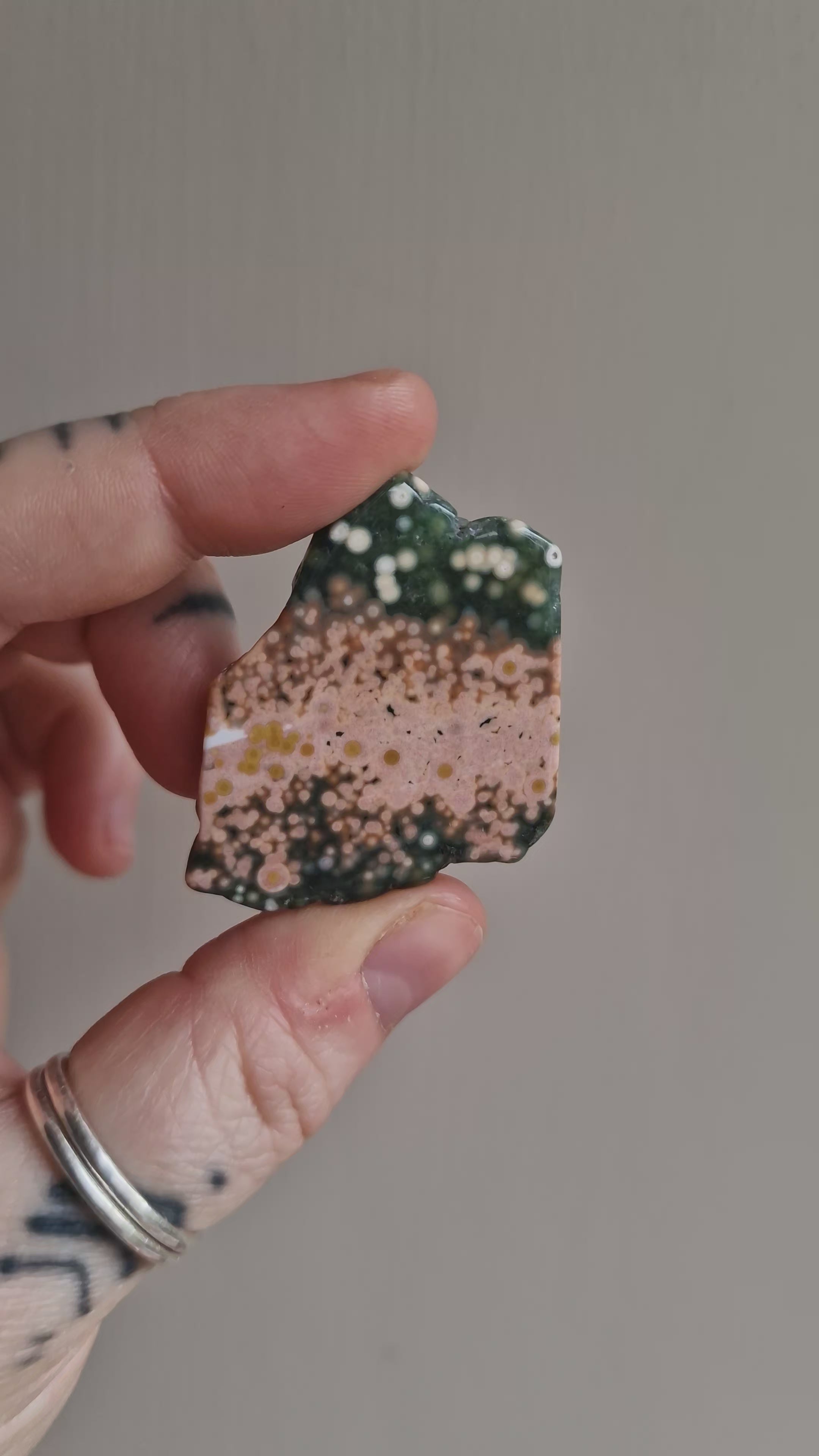 Orbicular Jasper Slice