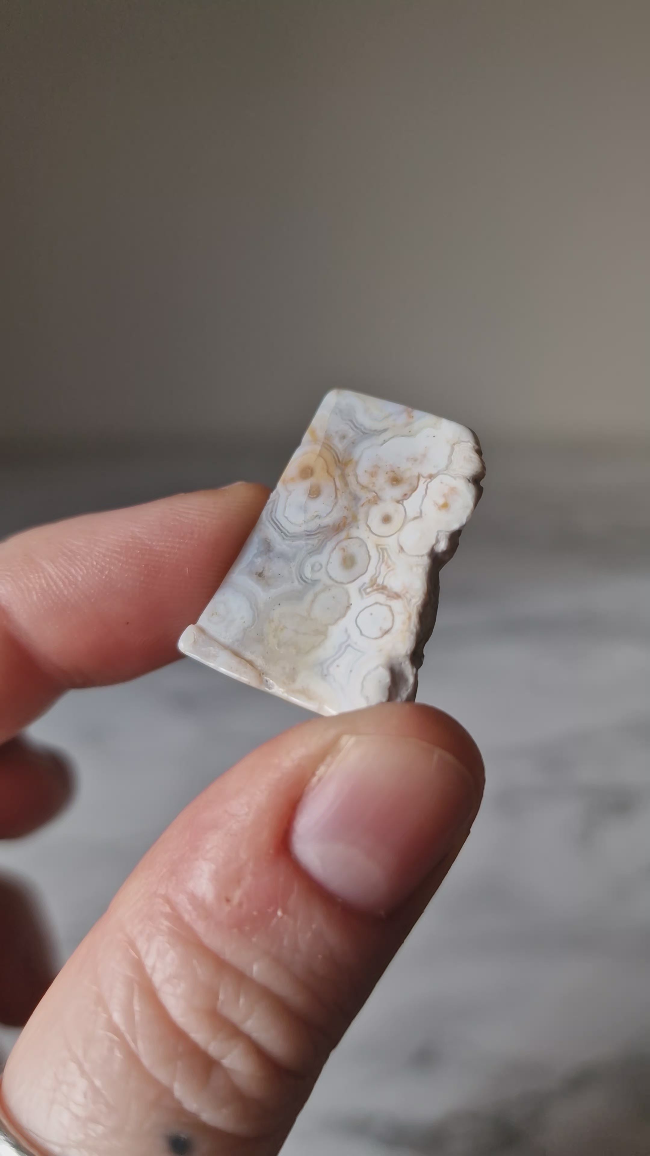 Orbicular Jasper Slice