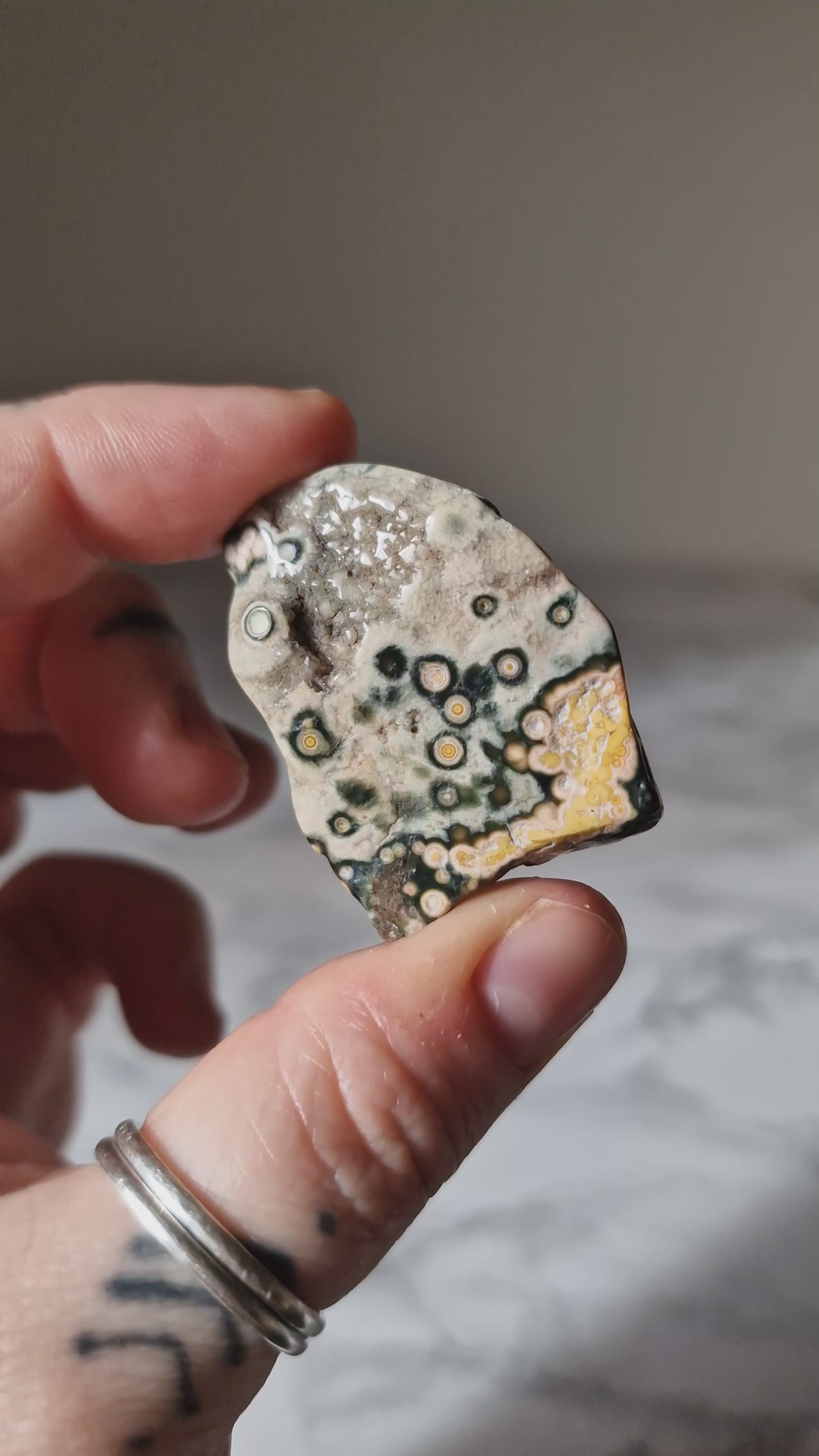 Orbicular Jasper Slice