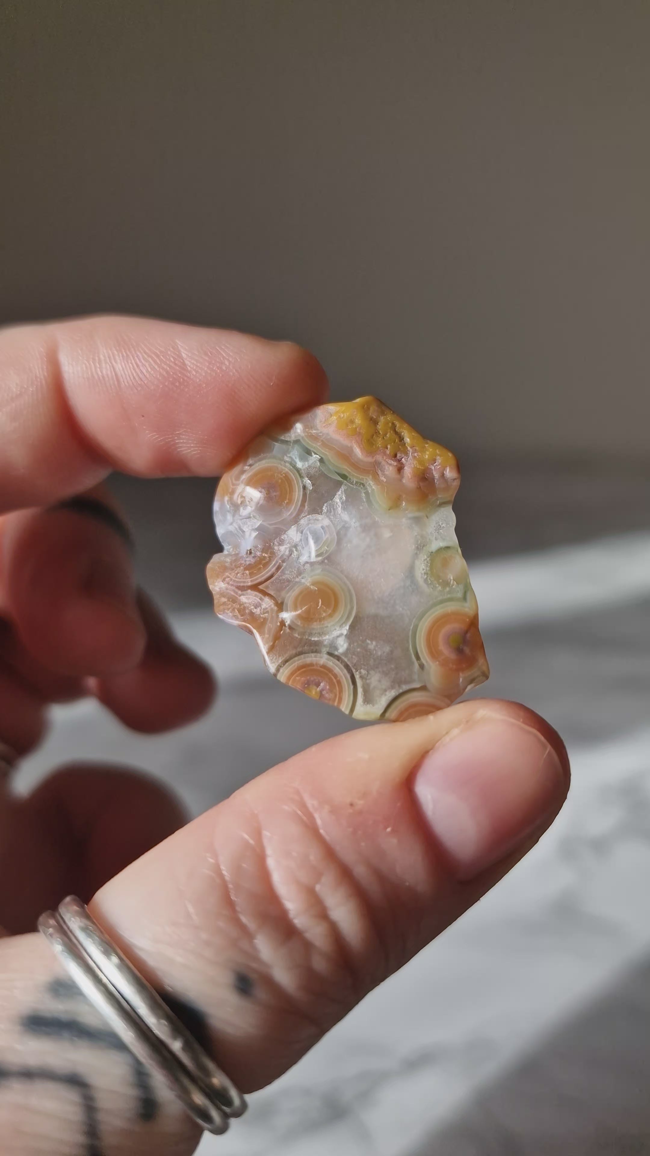 Orbicular Jasper Slice