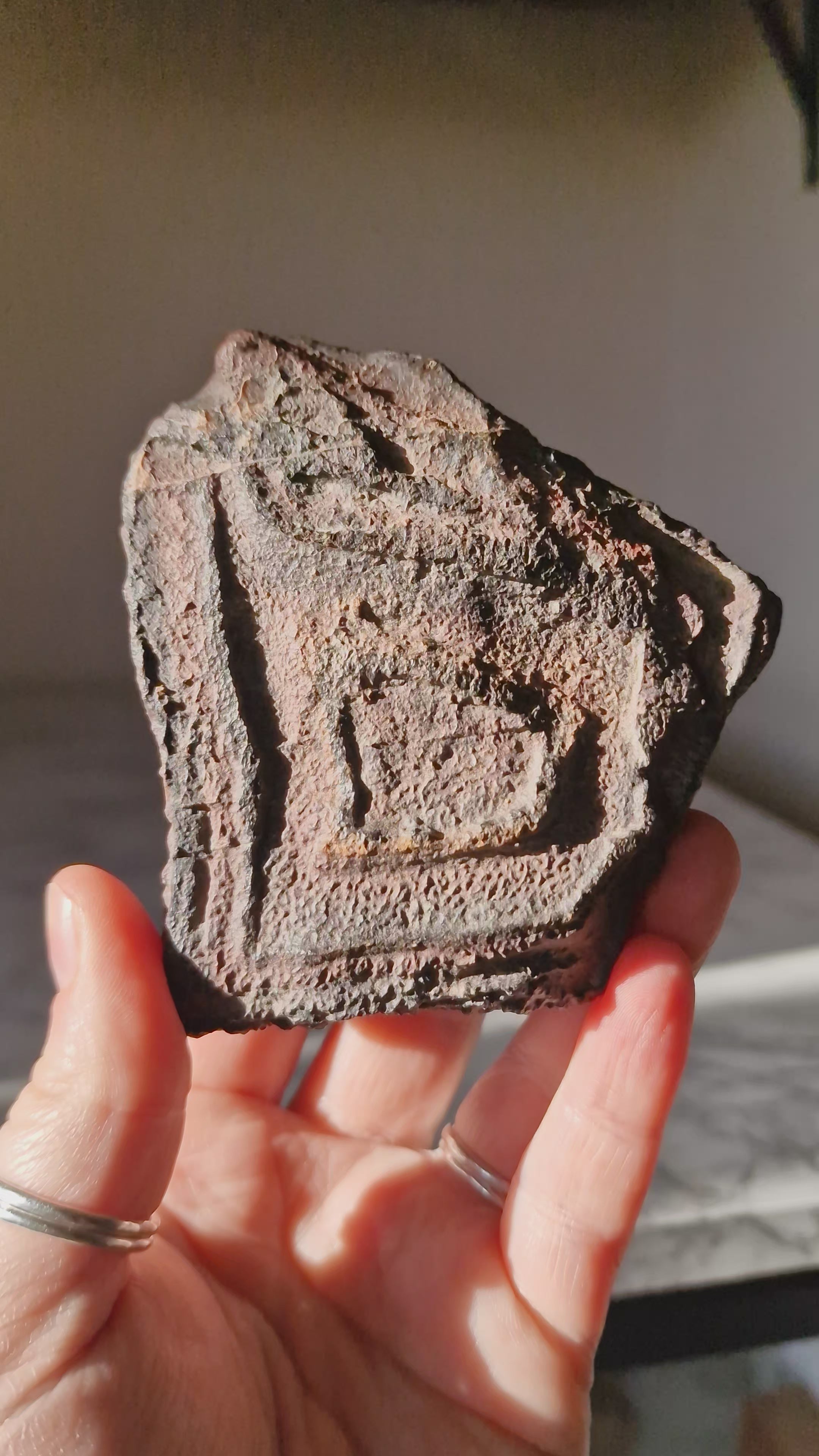 Ironstone Regolith Concretion (Ancient Fossil Mud)