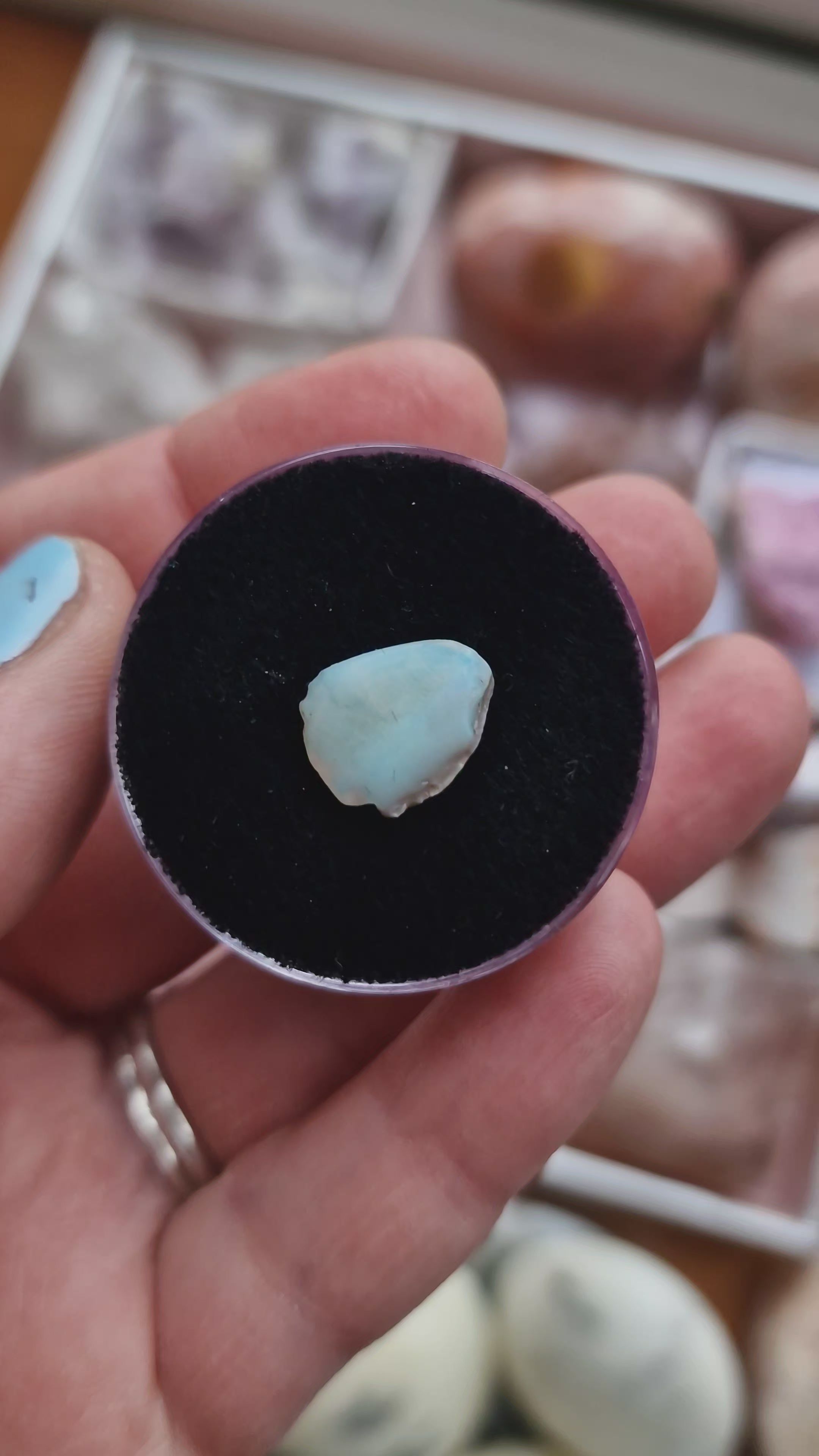 White Mexican Opal in Display Case