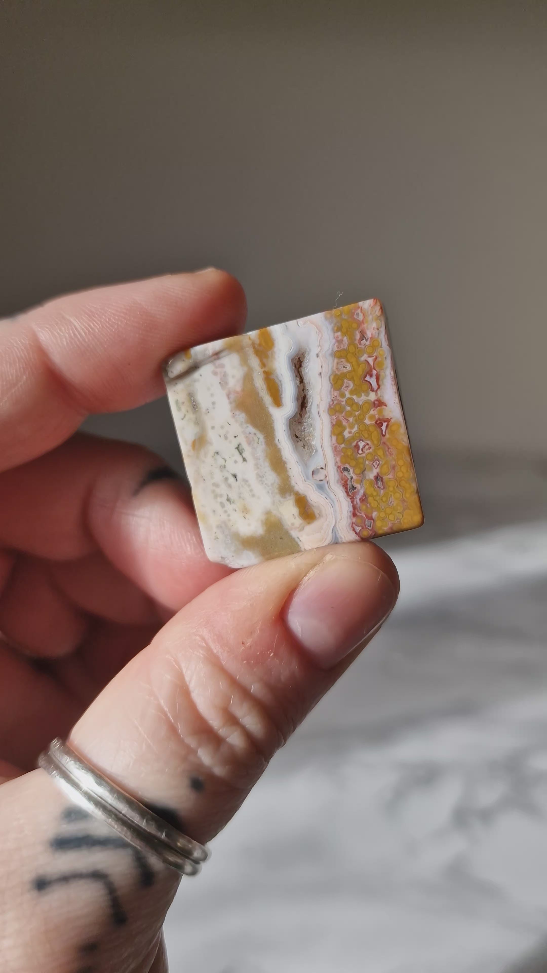 Orbicular Jasper Slice