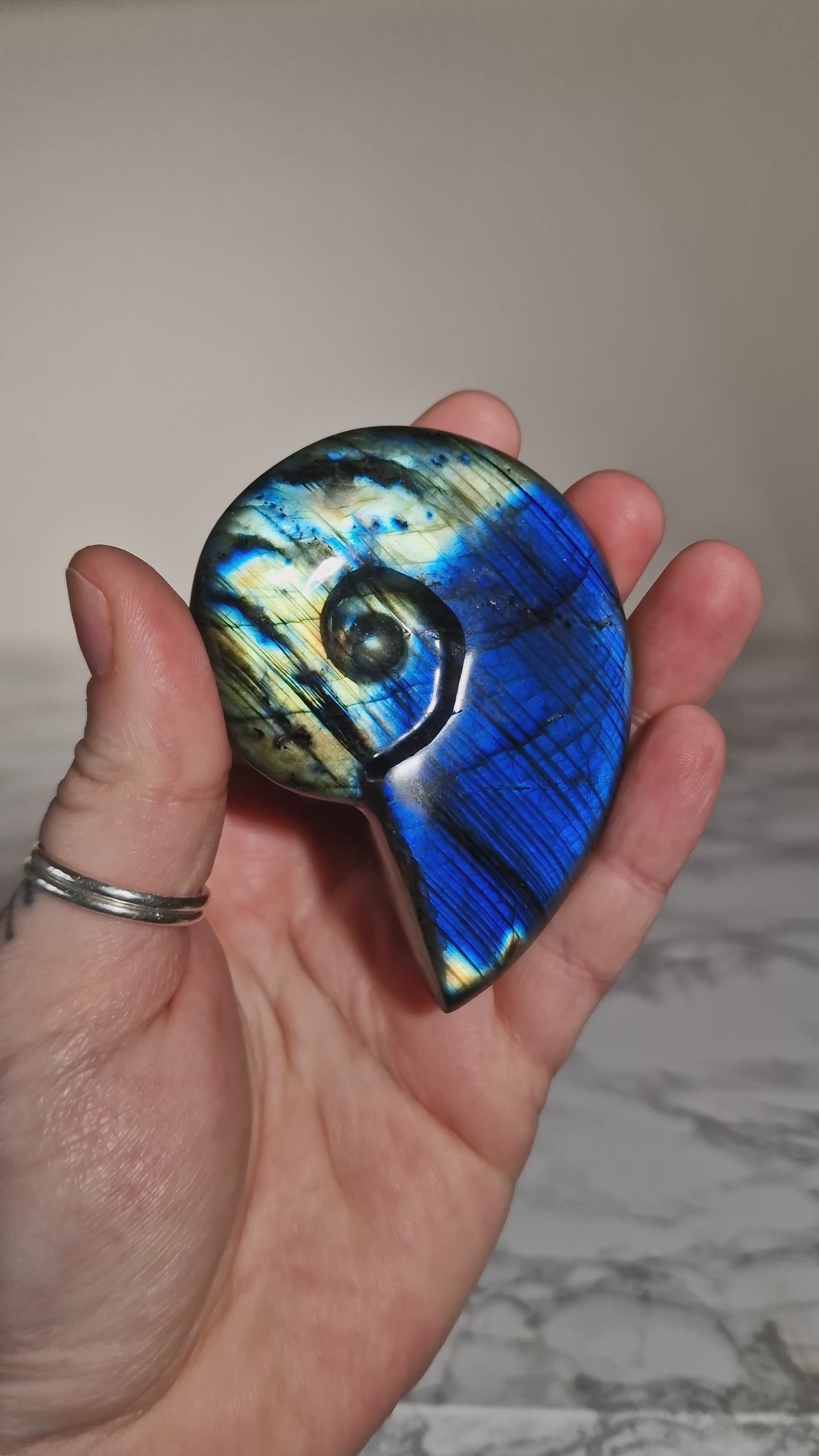 Blue Labradorite Shell Carving